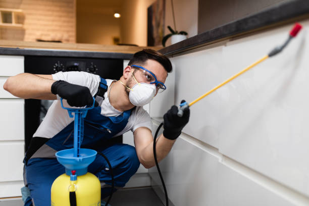 Best Flea Control Services  in Livingston, AL