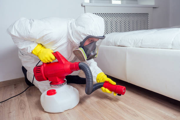 Best Local Pest Control Services  in Livingston, AL