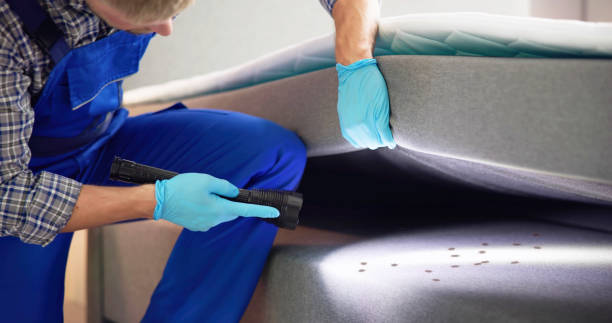 Best Best Pest Control Companies  in Livingston, AL