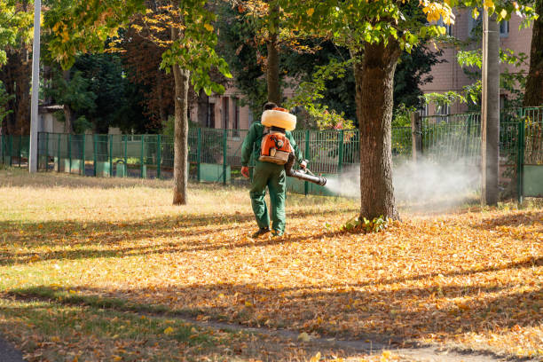 Best Local Pest Control Services  in Livingston, AL