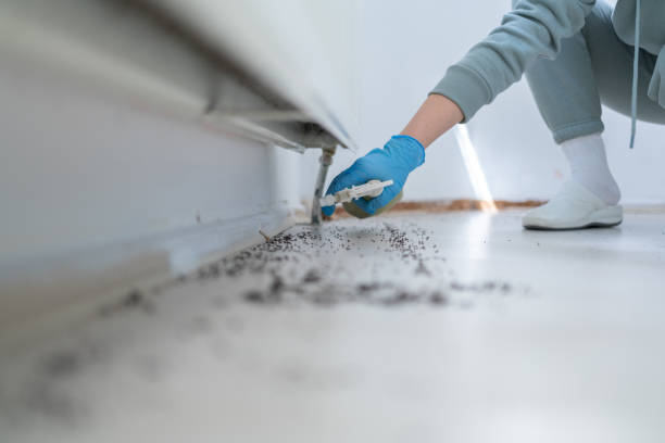 Pest Prevention Services in Livingston, AL